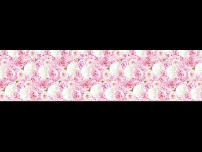 Стеновая панель на кухню Пионы (3х0,6 м)