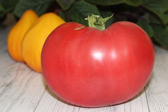 Идеальная красота