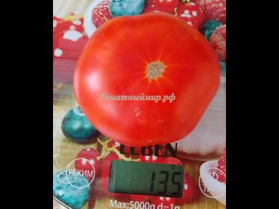 Томат Сладкая Скарлет (Сладкий Алый гном, Dwarf Sweet Scarlet), США