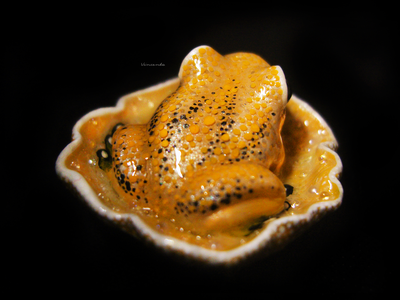 Мини-брошь "Притягивающая солнечный свет", украшение с лягушкой