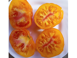 Томат Жёлто розовый жемчуг (Pearl's Yellow Pink, США)