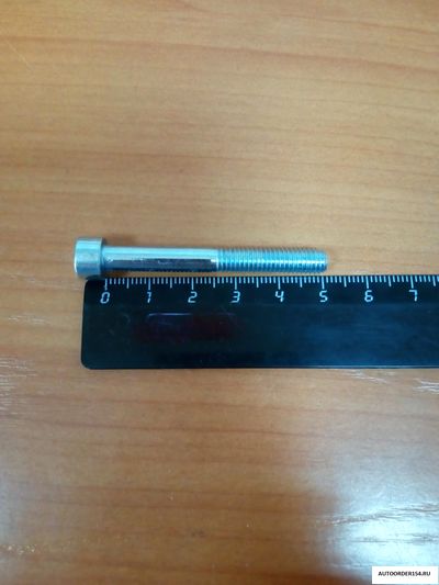 Болт М6*1*50 под внутренний шестигранник (цена за 20 шт.)