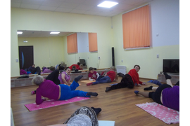 Оздоровительная гимнастика, в т.ч.  для людей старшего возраста и людей с ослабленным здоровьем.