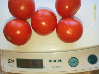 Томат Паста Бернардини (Pasta Bernardini)