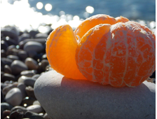 Новогодние экшн-туры &quot;Другая Абхазия&quot;, 6 дней, 2025-2026