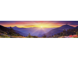 SP-228 Глянцевая стеновая панель ALBICO  2800*610*6мм.