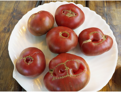 Томат Кофе с молоком