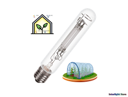 Aura Sodinette Long Life ST 150w E40
