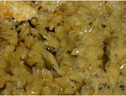 Барит золотистый, жёлтый, включения других минералов, Россия, Адыгея (236*130*55 мм, 2523 г) №29462