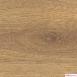 Декор ламината Haro Tritty 200 Aqua Дуб Эмилия Медовый 540242 структура