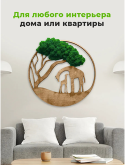 ЖИВАЯ ЭКО-КАРТИНА 1017