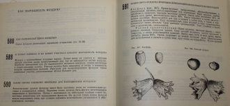 Виденов Б.,Ковачев Г.,Манов С. 700 советов садоводу-любителю. София: Земиздат. 1978г.