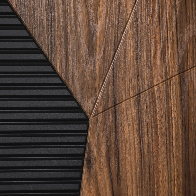 Стальная дверь   Сапсан с зеркалом (адаптивная замковая часть)