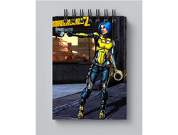 Блокнот Borderlands, Бордерленд №1