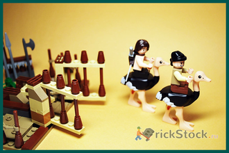 # 7570 Страусиные Бега / The Ostrich Race (2010)