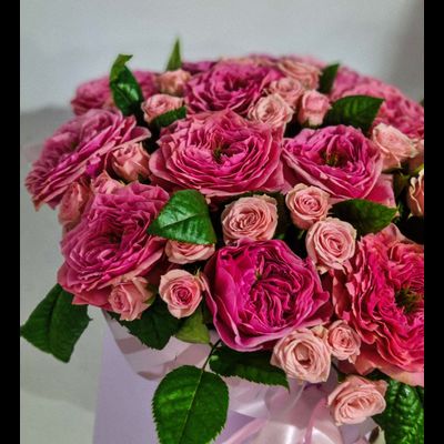 Композиция