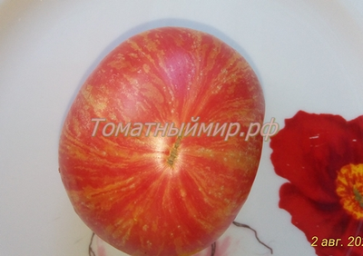 Томат Гном Жар-птица сладкая (Dwarf Firebird sweet)