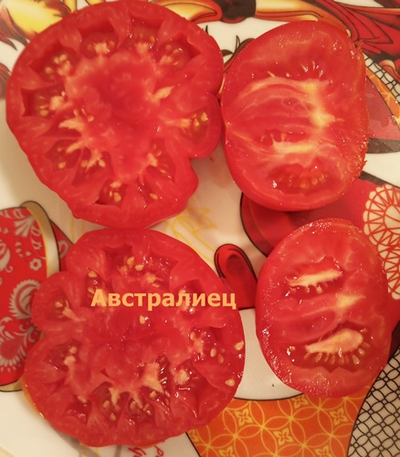 Томат Австралиец (Aussie), Австралия