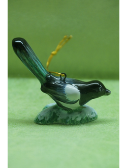 Сорока - Птицы России