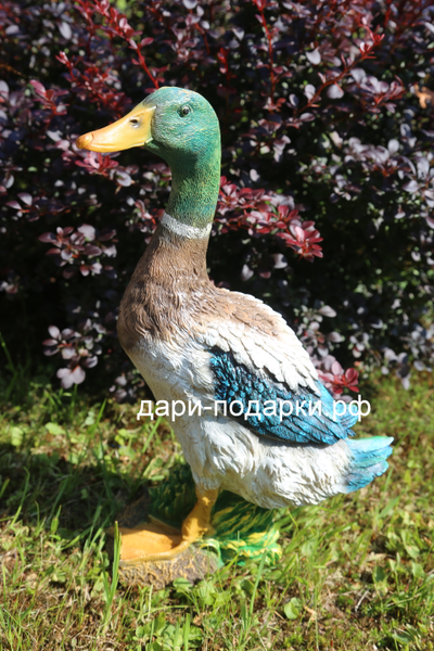 Селезень - красавец 40*28см полистоун Россия 1675/012564*