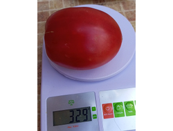 Томат Минусинские бычки