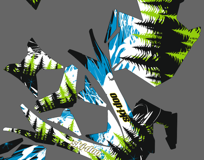 Наклейки на снегоход SKI DOO summit 2008 - 2013 #1028