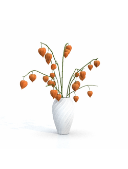 букеты Букет Physalis