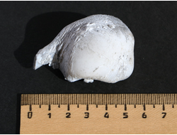 Кахолонг (Опал) желвак цельный, Оренбургская обл. (56*34*30 мм, 53 г) №10846