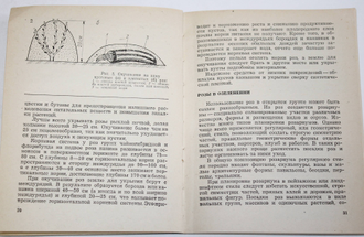 Майоров В. С. Многолетние цветы. Ростов-на-Дону: Ростовское книжное издательство. 1978г.