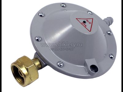 Редуктор газовый РДСГ 1-1.2 "Лягушка"