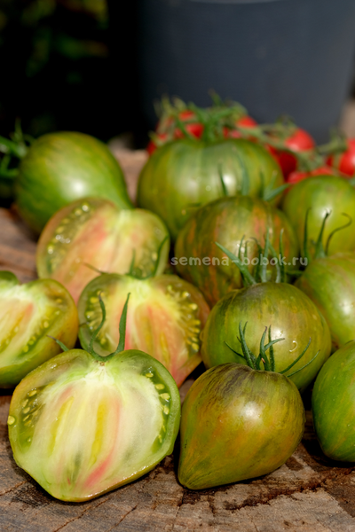 Томат VT-16 триколор, 10 шт