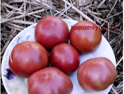 Томат Гном Гордость Перта (Dwarf Perth Pride)