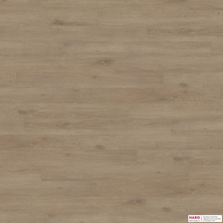 Декор ламината Haro Tritty 100 Loft 4V Дуб Венето Кремовый 538719 фронт