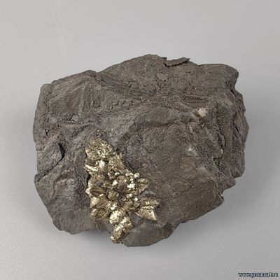 Пирит, плашка на породе, мергелистой глине. Россия. 48*36*22мм