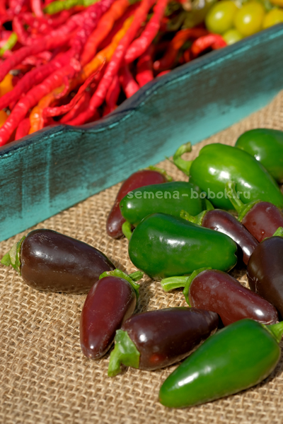 Перец острый Jalapeno Azabeche, 10 шт.