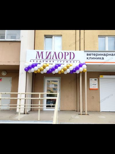 Гирлянда из воздушных шаров №2