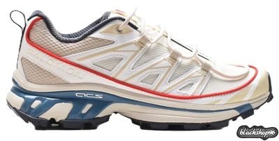 SALOMON XT-6 EXPANSE MILK (40-45)