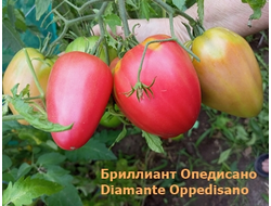 Томат Бриллиант Оппедисано (Diamante Oppedisano)
