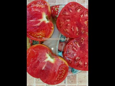 Томат Дикая роза