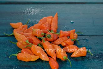 Перец сладкий Habanero Habanada (Хабанеро Хабанада), 10 шт - Семена Бобок