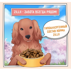 ZILLII Adult Dog Корм сухой для взрослых собак всех пород Индейка с Ягненком 0.8 кг