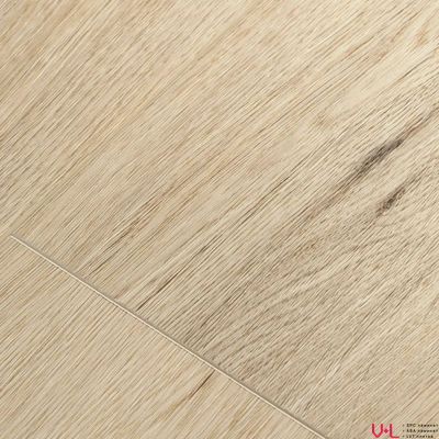 SPC ламинат FirstFloor Простой Серый Дуб 1F034 43 класс толщина 4.0 мм с фаской замковый 2.665 м2