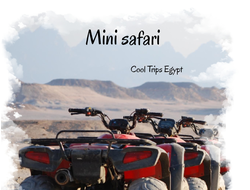 Mini safari (El Quseir, Port Ghalib, Marsa Alam)