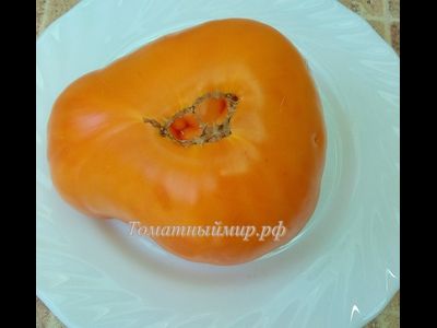 Томат Регби оранжевый (Rugby orange, США)