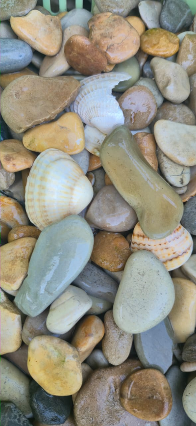 Морской Микс