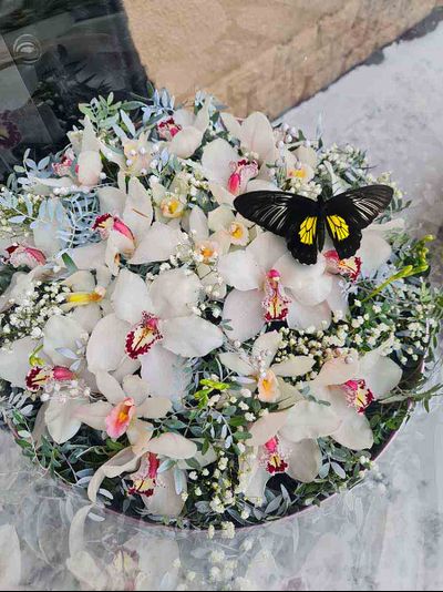 Букет орхидей с бабочкой №83