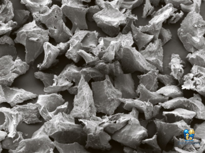 bioOST XENOGRAFT Cortical – Имплантаты для остеопластики