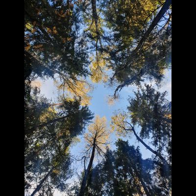 Экскурсия "Загадки Галкинских болот"