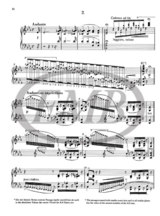 Liszt Grand Etudes after Paganini