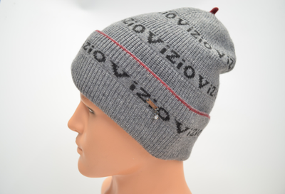 Шапка Vizio 1685 CRY мужская серая